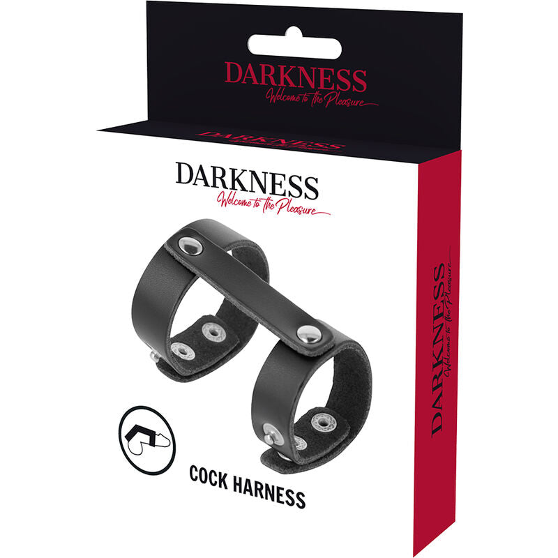 DARKNESS ADJUSTABLE LEATHER PENIS AND TESTICLES RING