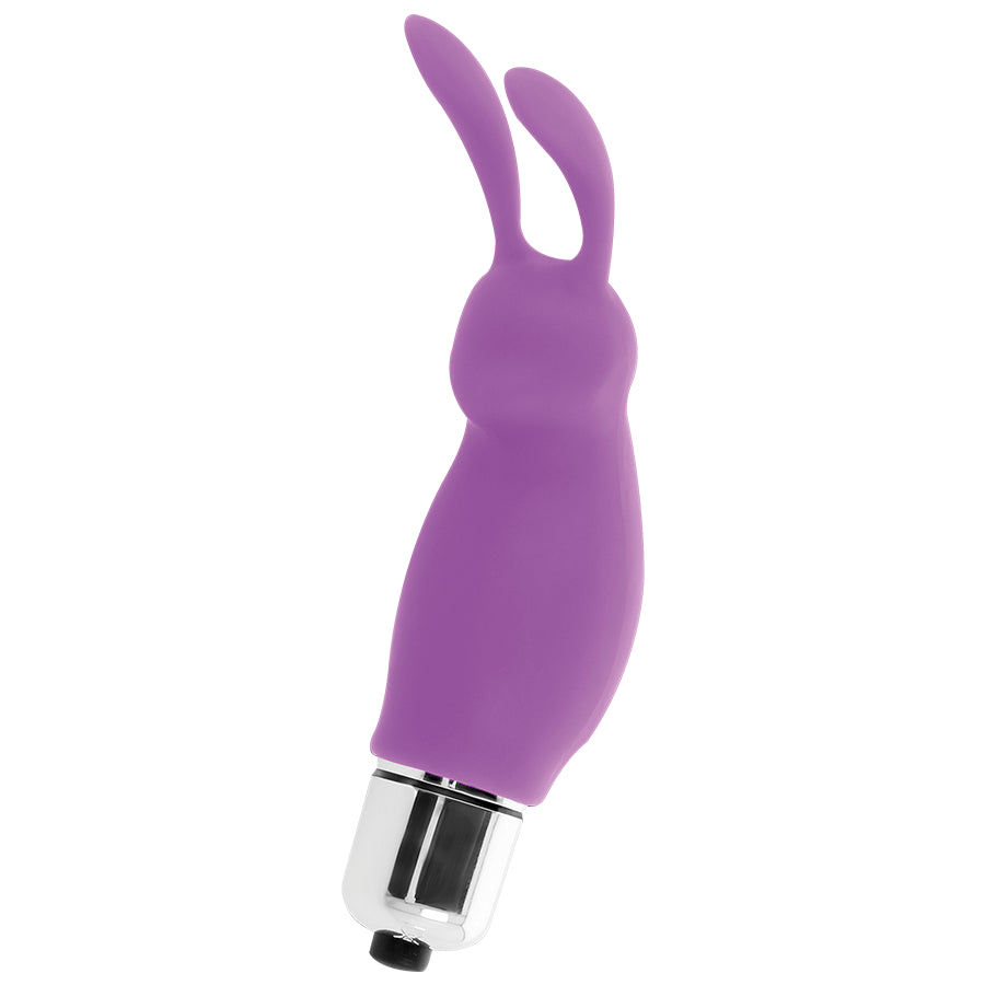 COELHO INTENSO ROGER PURPLE