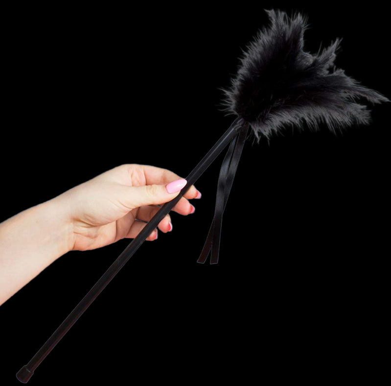 SECRETPLAY PLUMERO PLUMAS NEGRO 40CM