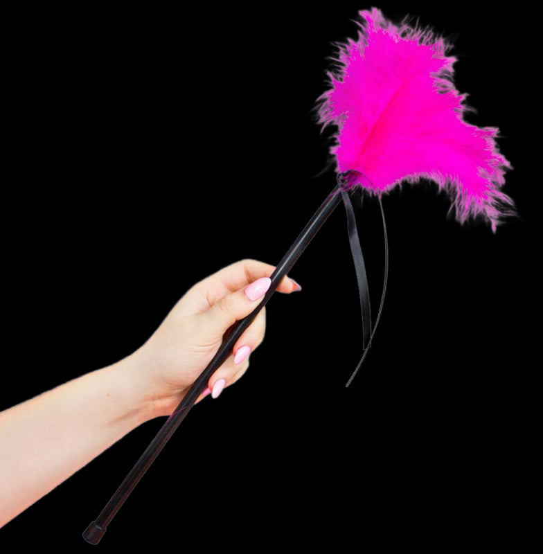 SECRETPLAY PLUMERO PLUMAS ROSA 40CM