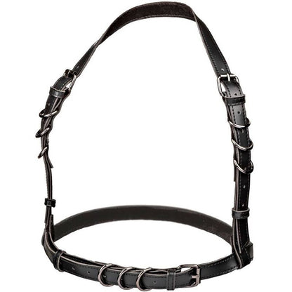 CALIFORNIA EXOTICS EUPHORIA ARNeS DE FIVELA HALTER PRETO