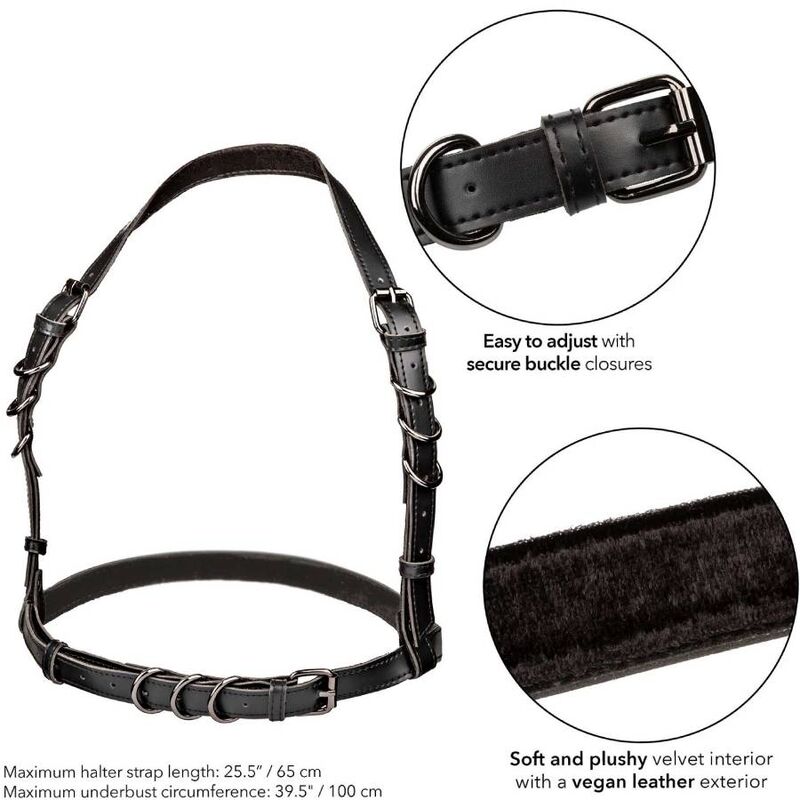 CALIFORNIA EXOTICS EUPHORIA ARNeS DE FIVELA HALTER PRETO