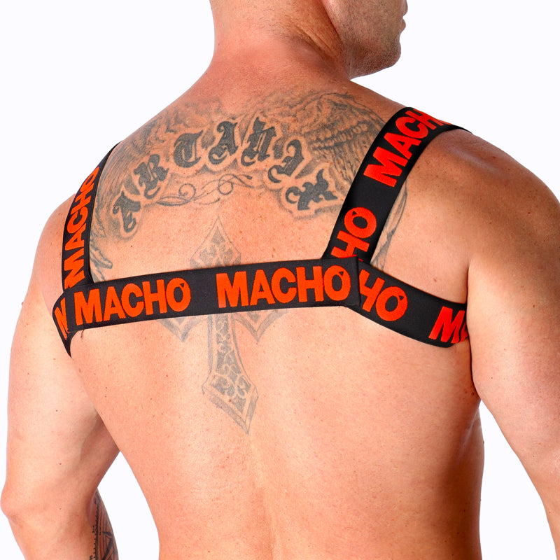 MACHO ARNeS DUPLO VERMELHO