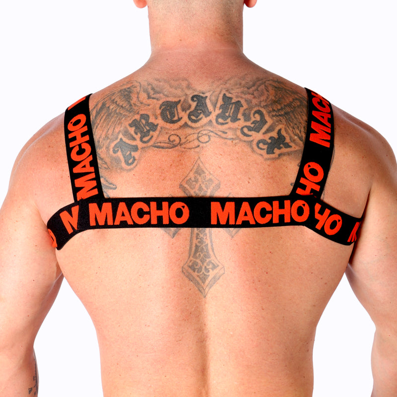 MACHO ARNeS DUPLO VERMELHO