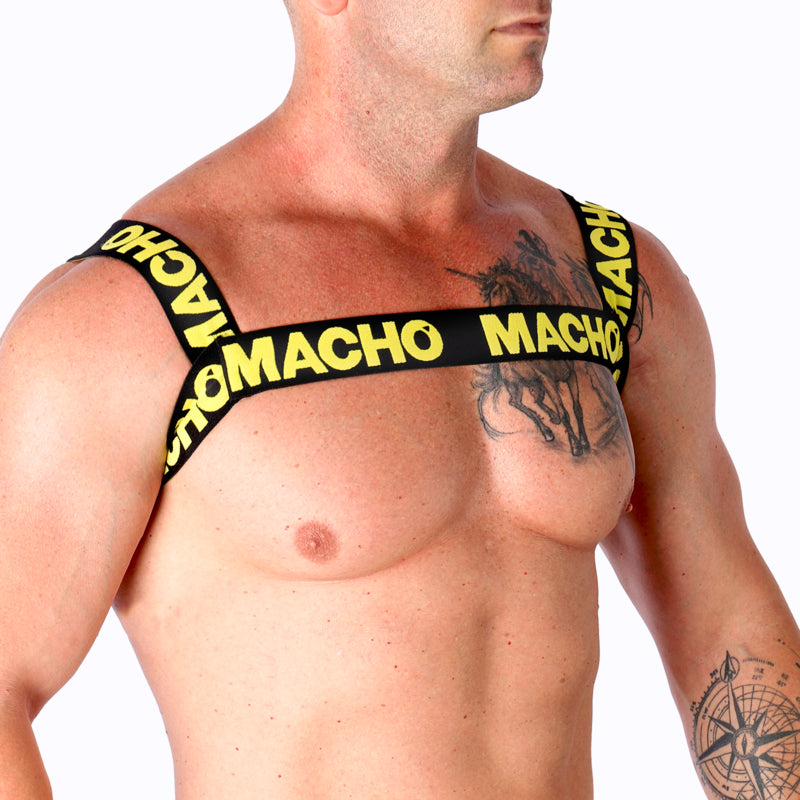 MACHO ARNeS DUPLO AMARELO