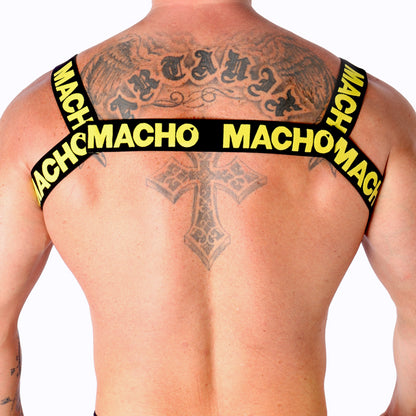 MACHO ARNeS DUPLO AMARELO