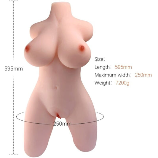 ARMONY MODELO DE TORSO FEMININO REALISTA 2