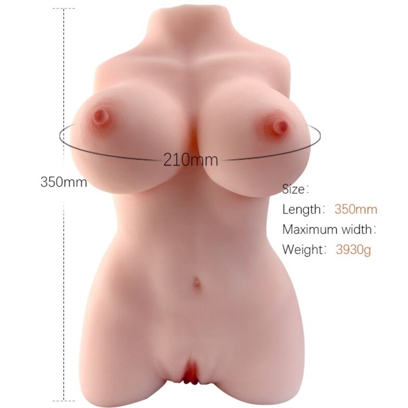 ARMONY TORSO FEMININO REALISTA MODELO 3