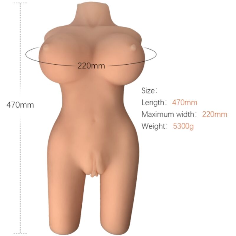 ARMONY MODELO DE TORSO FEMININO REALISTA 6