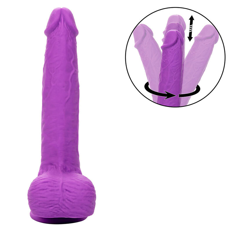 CALEXOTICS STUDS VIBRADOR ROTATIVO E RECARREGaVEL 10 VIBRAaaES ROXO