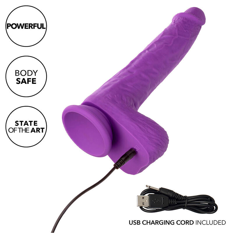 CALEXOTICS STUDS VIBRADOR ROTATIVO E RECARREGaVEL 10 VIBRAaaES ROXO