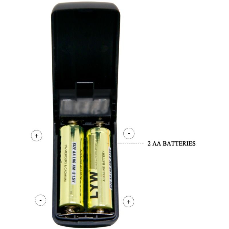 BAILE TAMPA VIBRANTE DE BONe DE CRISTAL VIBRANTE I