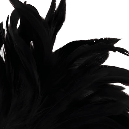 DARKNESS BLACK FEATHER LUX