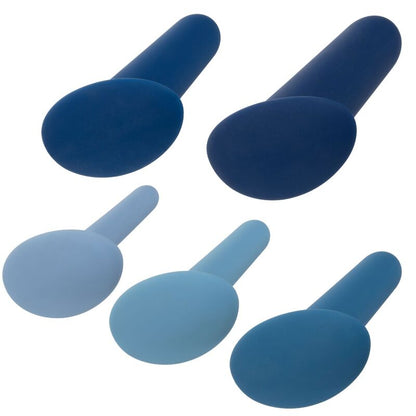 CALEXOTICS CONJUNTO DE TREINAMENTO ANAL VESTiVEL 5 PEAS