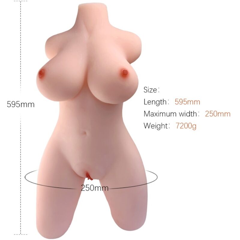 ARMONY MODELO DE TORSO FEMININO REALISTA 2