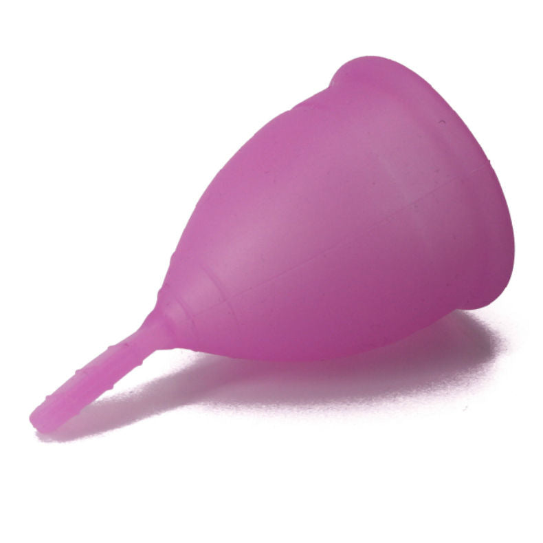NINA KIKi COPO MENSTRUAL ROXO TAMANHO L 6 1 GRTIS