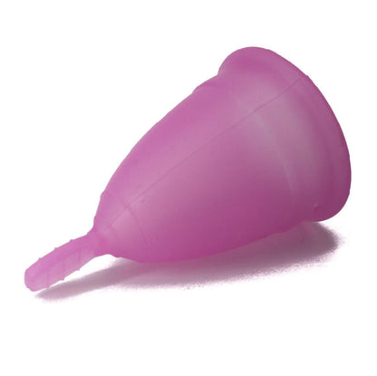 NINA KIKi COPO MENSTRUAL ROXO TAMANHO S 6 1 GRTIS
