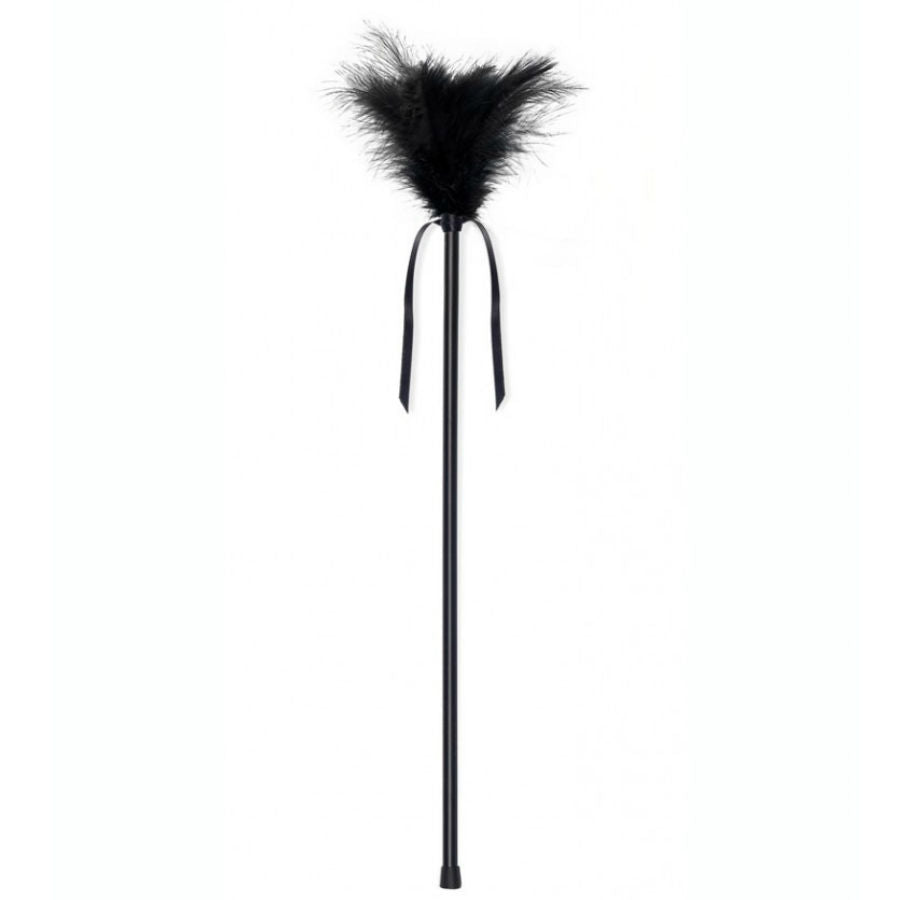 SECRETPLAY PLUMERO PLUMAS NEGRO 40CM