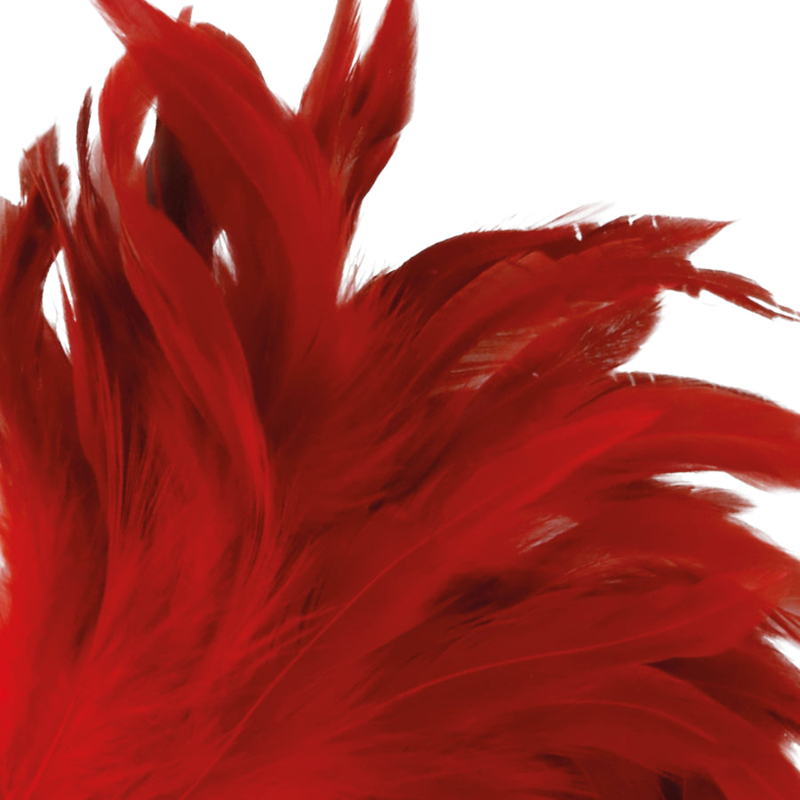 DARKNESS RED FEATHER 24cm