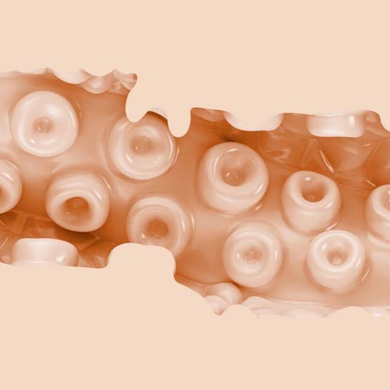 FLESHLIGHT FANTASIA SASHA NAKAMOTO VAGINA