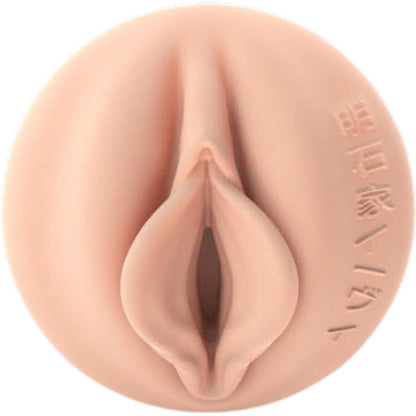 FLESHLIGHT FANTASIA EVIE AKASHIYA VAGINA
