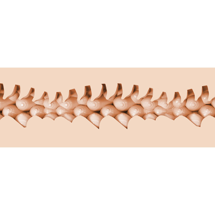 FLESHLIGHT FANTASIA EVIE AKASHIYA VAGINA