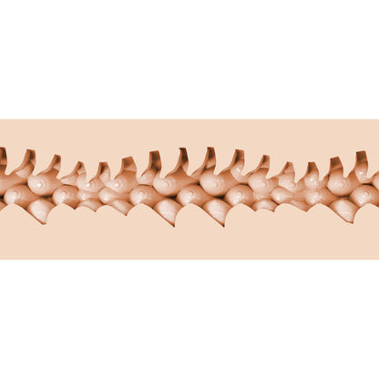 FLESHLIGHT FANTASIA EVIE AKASHIYA VAGINA