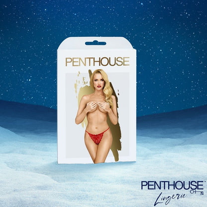 SATISFYER CALENDaRIO DO ADVENTO PREMIUM 2025