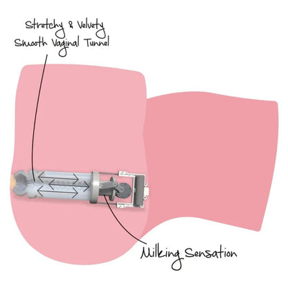DESEJO OCULTO CADELA DE BUNDA GRANDE QUE AMAMENTA E SE MASTURBA 16 KG